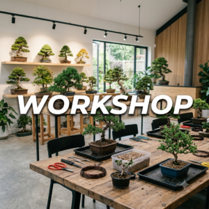 Live Workshop One